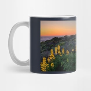 Sunset with yellow lupins Mug